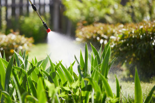 24/7 Emergency Mosquito Control experts in Seven Lakes, NC