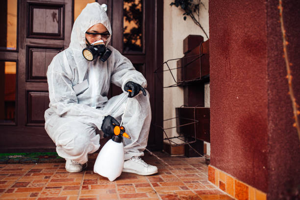 Reliable Mosquito Control contractor in Seven Lakes, NC by Show Me Pest Control